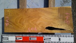 17-15　本桑（クワ）赤身杢の乾燥材・・・ロクロ・刳りもの・指物・彫刻・オブジェ・DIY