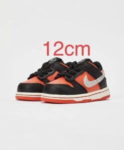 新品 ナイキ ダンク ロー TDE 12㎝ DV1987-001 NIKE DUNK LOW TD E 子供靴 キッズ タグ付き　ブラック シルバー 6C uk5.5