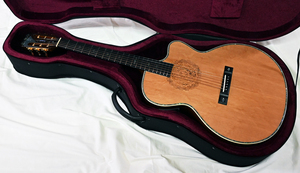 アリア SP-250 / J The Soundpiper ハカランダ仕様 日本製 エレクトリック アコースティックギター Made In Japan　