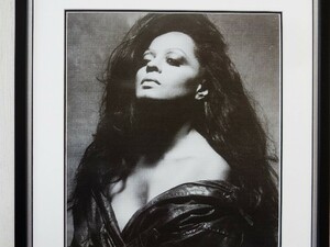 ダイアナ・ロス/アート ピクチャー/Diana Ross/シュープリームス/モータウン/Motown/The Supremes/デザイン 額装 新品/art display