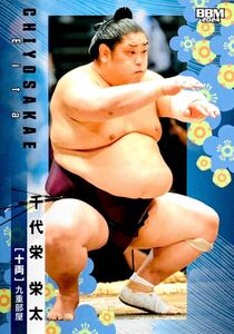 千代栄 栄太 十両 レギュラーカード No.69 BBM 2024 大相撲カード 九重部屋