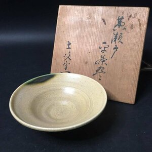 FG0912-3-3 黄瀬戸 土岐窯 茶碗 共箱 茶道 茶道具 鉢 皿 器 アンティーク 高5×径15.5cm 60サイズ