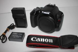 【保証付】Canon キャノン 一眼レフデジタルカメラ canon kiss x10、EOS Kiss X10 ☆444