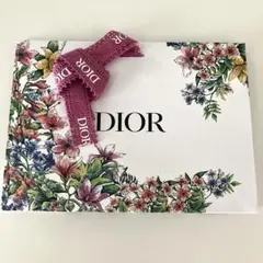 Dior 紙袋  ディオール ショッパー 小