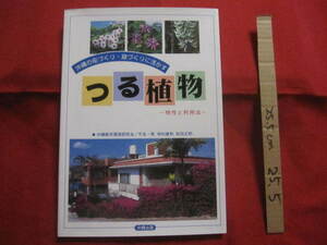 ☆沖縄の街づくり　・　庭づくりに活かす 　　　つる植物　　 　　―　特性と利用法　―　　　 　　　 【沖縄・琉球・自然・ガーデニング】