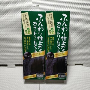 ふんわり仕上がるカラートリートメント ブラック 2本セット 利尻昆布エキス配合 海藻エキスで傷んだ髪をキレイに