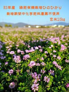 【化学肥料及び農薬不使用（無農薬）】令和5年10月収穫　こだわり緑肥有機栽培　奈良県産ヒノヒカリ玄米10kg 農家直送 　無料精米可