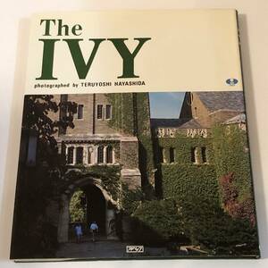 即決　林田昭慶　『The IVY』　アイビーリーグ　アイビーのすべて