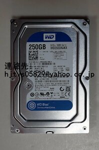 新品 WD WD2500AAKX 250GB 3.5インチ SATA ウェスタンデジタルキャビアブルー 6Gbps 7200RPM 16MB 内蔵HDD