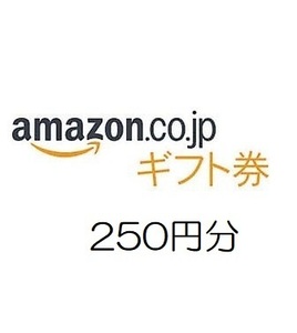 amazon アマゾン ギフト券　250円分【有効期限約10年】