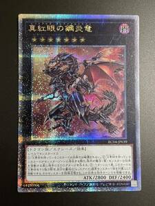 遊戯王 OCG 真紅眼の鋼炎竜 25th クォーターセンチュリーシークレットレア レアリティコレクション コナミ レアコレ レッドアイズ メタル