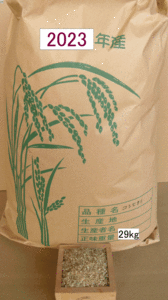 農薬未使用 コシヒカリ29kg No6 玄米
