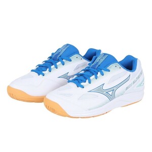 【71GA234510 25.0】MIZUNO（ミズノ）バドミントンシューズ スカイブラスター3 新品未使用 2023.3発売