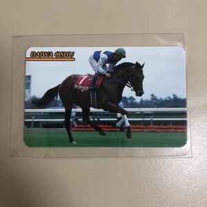 競馬カード　264 ダイワオーシュウ