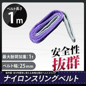 全国一律【送料無料】ナイロンスリングベルト 1m 幅25mm 荷重1000kg 1t ベルトスリング 玉掛け 吊上げ ロープ 牽引 運搬 移動 【1本入り】