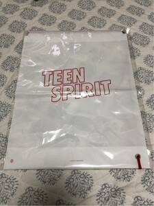 【未使用未開封】映画:TEEN SPIRIT ティーンスピリット ビニールバッグ A2サイズ