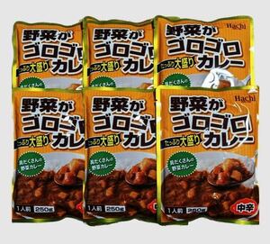 大盛り 野菜がゴロゴロカレー 250g×6食 レトルトカレー 中辛 ビーフカレー 保存食 レトルト食品 長期保存 備蓄