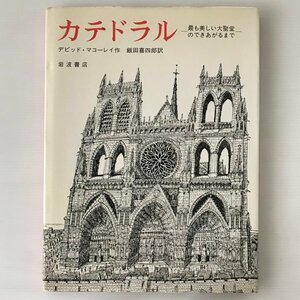 カテドラル : 最も美しい大聖堂のできあがるまで デビッド・マコーレイ 作 ; 飯田喜四郎 訳 岩波書店