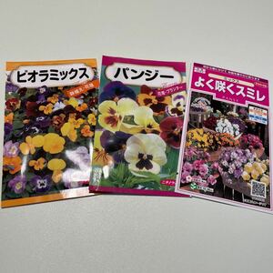 パンジーの種　ビオラの種　40粒セット　よく咲くスミレ　カラーミックス　サカタのタネ　ニチノウ　★種袋無し