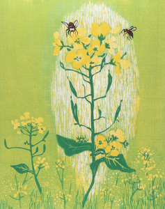 (真作) 版画家「高木志朗」作 『菜の花』 1977 10/100　a718