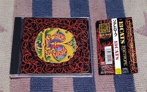 CD　ゾアトロープ　13Cats　13キャッツ　沼澤尚　オビ、歌詞、対訳付　正規国内盤　 ディスク良好　送料込　割引特典あり