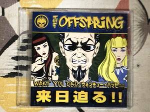 ★非売品CD OFFSPRING/オフスプリング「WANT YOU BAD」 見本盤 プロモ盤　promo only JAPAN MINT 