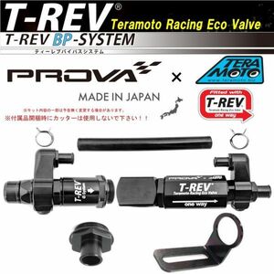 TERAMOTOｘPROVA【寺本自動車ｘプローバ】T-REV BP-SYSTEM（バイパスシステム）レガシー B4 DBA-BMG（FA20E）パターンB ブラック