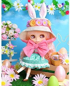 新品未開封 CWC限定 ネオブライス スプリングホープ 輸送用ダンボール箱付 半透明肌 NEO Blythe Spring Hope 希少 タカラ製