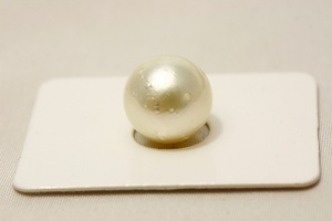 南洋白蝶真珠パールルース　11mm　ホワイトカラー