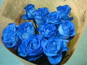 ☆彡ブルーローズ☆彡e-Flower【凄い色！】！10本青い【バラ】1/19着～リボンラッピングメッセージ付