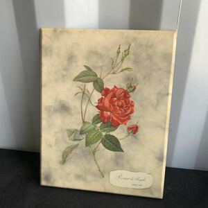 アンティーク品！絵画 バラ 薔薇 ローズ レトロ 本物 Red Roses in Bloom Rosa Gallica Langlois Sculp薔薇 ルドゥテ