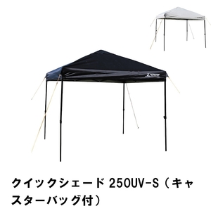 テント タープ UVカット 約3.8畳 幅250 奥行250 高さ257-239 高さ3段階調整 スチール 簡単 キャスターバッグ付 ブラック M5-MGKPJ01121BK