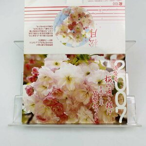 1円~ 桜の通り抜け貨幣セット 今年の花 松月 ミントセット 2007年 平成19年 額面666円 銀約4.39g 記念硬貨 銀メダル 日本桜花 MS2007