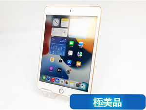 【美品】Apple iPad mini5 64GB Wi-Fi ゴールド MUQY2J/A