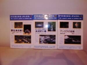 ***　希 少 ・ 絶 版 本 『 FISHING ・ PLUS 』 朔 風 社 発 行 ・ 新 品 同 様 ・ 全 ３ 冊　***