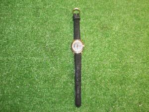 5113 Limited Edition Of 300 センチメンタルグラフティ2 スギハラナナミ 腕時計