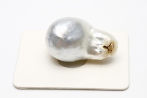 南洋白蝶真珠パールルース　両穴　24×15mm　シルバーカラー