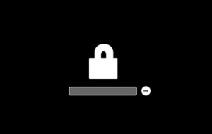 Apple MacBook Pro 2010 - 2020 ファームウェアロック解除 / BIOSパスワード解除