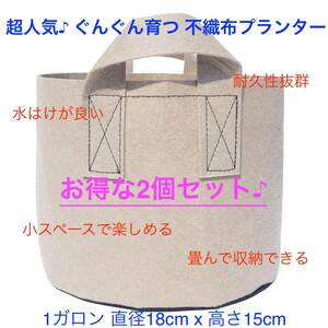 [送料無料&新品未使用] 不織布プランター 1ガロン 植木鉢 6号 不織布ポット 栽培袋 プランター フェルト ベージュ 2個セット