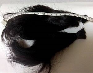 10代　約20cm 約55g　髪束 髪の毛【1348】