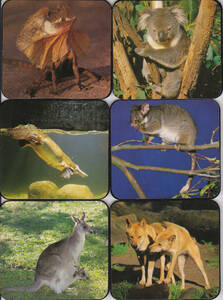 5271【送料込み】《コースター》オーストラリア土産　コアラ・カンガルーなどの動物コースター6枚セット（裏コルク）