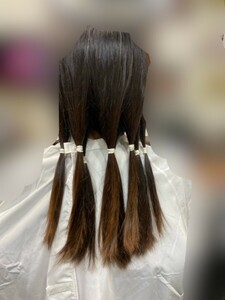 ヘアードネーション　髪　髪束　髪の毛　学生