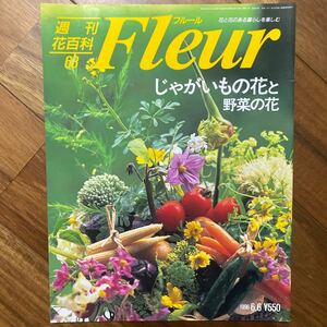 週刊花百科 フルール 1996年6月6日号　じゃがいもの花と野菜の花　表紙少しシミ有　管理番号A1265