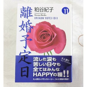 初版 帯付 美品 離婚予定日 １１ 即納 11巻 最終巻 粕谷紀子 漫画