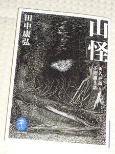 「山怪　山人が語る不思議な話」 田中康弘 著　ヤマケイ文庫