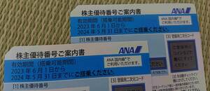 ③2枚 2024/5/31 ANA 全日空 株主優待番号ご案内書 割引 クーポン アナ 国内線 空港 旅行 出張 観光 宿泊 飛行機 ビジネス 搭乗 青 航空券