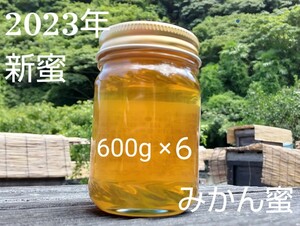 【非加熱、純粋はちみつ】スッキリとした甘さとほのかな酸味が人気な希少蜂蜜「みかん」600g×6本 3600g 国産蜂蜜 完熟 天然