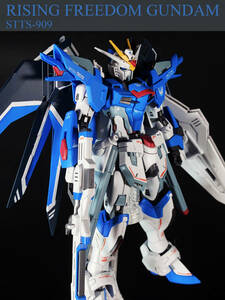 HG 1/144 ライジングフリーダムガンダム　改修塗装済み完成品　機動戦士ガンダムSEED FREEDOM