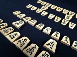 将棋駒/香月作/水無瀬/彫駒/将棋/箱付/将棋道具