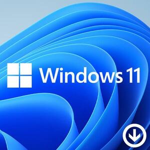ウィンドウズ 11 Windows 11 pro プロダクトキーのみ [Microsoft] 1PC/ダウンロード版 | 永続ライセンス